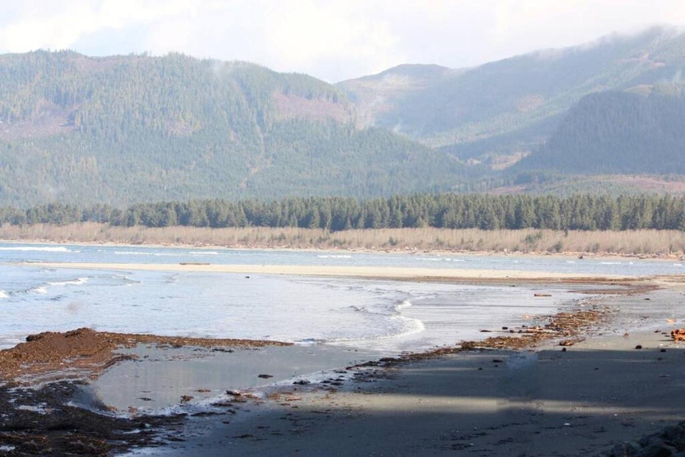הוילה The Great Escape - Port Renfrew & Bunkhouse מראה חיצוני תמונה