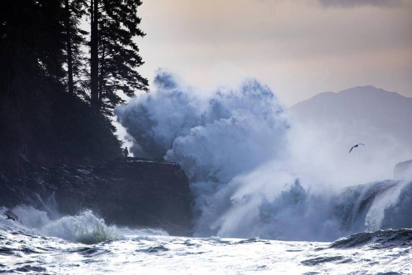 הוילה The Great Escape - Port Renfrew & Bunkhouse מראה חיצוני תמונה