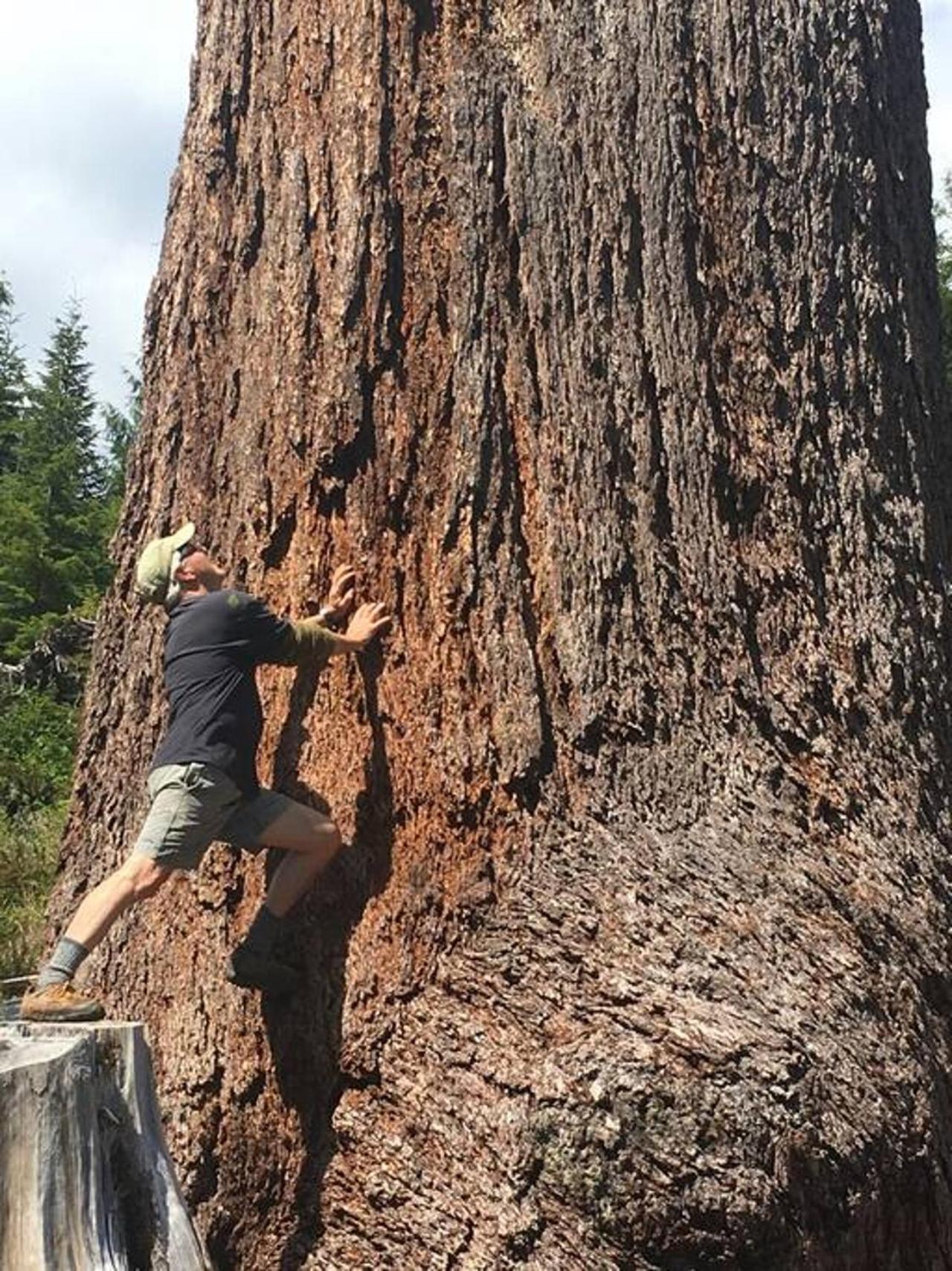 הוילה The Great Escape - Port Renfrew & Bunkhouse מראה חיצוני תמונה