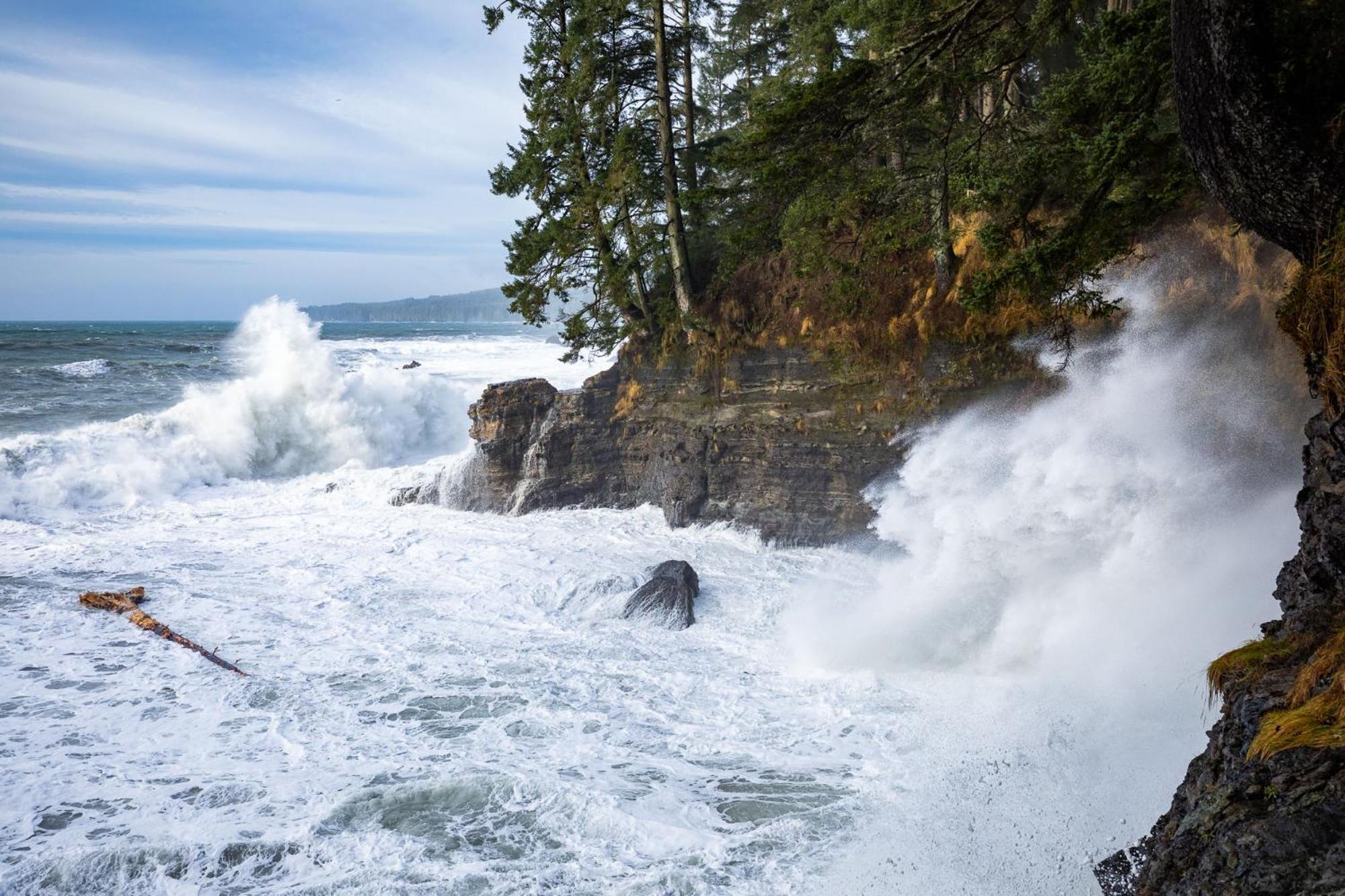 הוילה The Great Escape - Port Renfrew & Bunkhouse מראה חיצוני תמונה